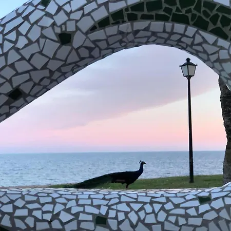 Apartamento Regata Playa