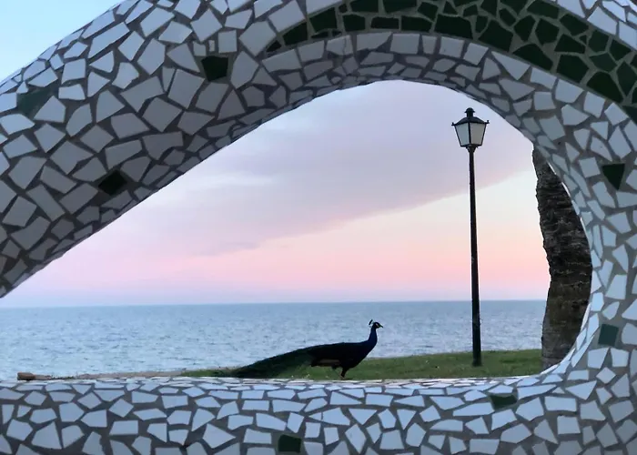 Lägenhet Regata Playa