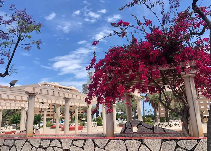 Lägenhet Regata Playa Oropesa del Mar